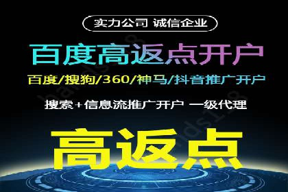 百度SEO推广案例解析与效果评估
